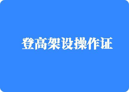 从哪里可以看国内日逼登高架设操作证